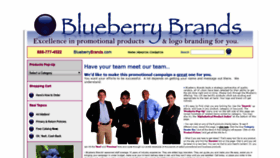 What Blueberrybrands.com website looked like in 2020 (4 years ago)