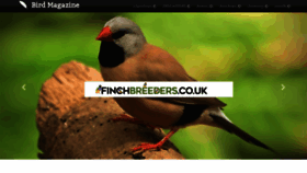 What Birdmagazine.co.uk website looked like in 2020 (4 years ago)