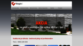 What Bagin2.sk website looked like in 2020 (4 years ago)