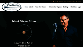 What Blumvoxstudios.com website looked like in 2020 (4 years ago)