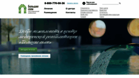 What Bigsalts.ru website looked like in 2020 (4 years ago)