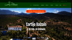 What Balzain.com website looked like in 2020 (4 years ago)
