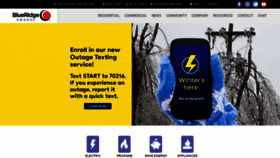 What Blueridgeenergy.com website looked like in 2020 (4 years ago)