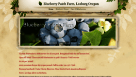 What Blueberrypatchfarm.com website looked like in 2020 (4 years ago)