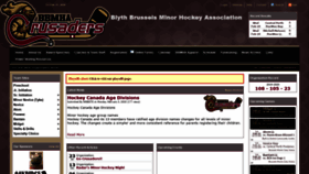 What Blythbrusselsminorhockey.ca website looked like in 2020 (4 years ago)