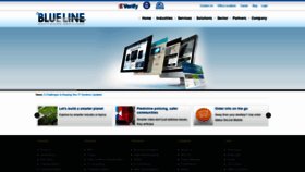 What Blueliness.com website looked like in 2020 (4 years ago)