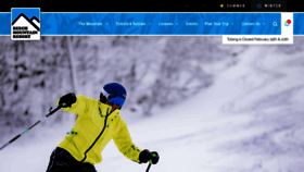 What Beechmountainresort.com website looked like in 2020 (4 years ago)