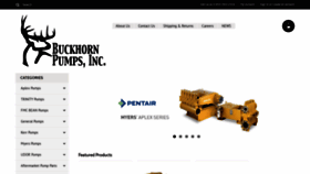 What Buckhornpumps.com website looked like in 2020 (4 years ago)