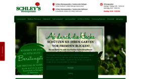 What Blumenparadies.de website looked like in 2020 (4 years ago)