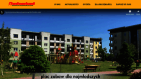 What Budowlani.pl website looked like in 2020 (4 years ago)