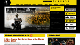 What Buffalochip.com website looked like in 2020 (4 years ago)