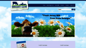 What Bright-cow.com website looked like in 2020 (4 years ago)