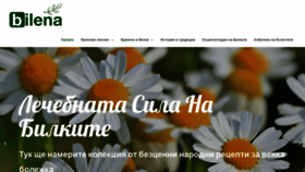What Bilena.eu website looked like in 2020 (4 years ago)