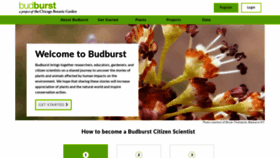 What Budburstbuddies.org website looked like in 2020 (4 years ago)