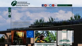 What Baysf.de website looked like in 2020 (5 years ago)