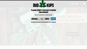What Budkups.com website looked like in 2020 (4 years ago)