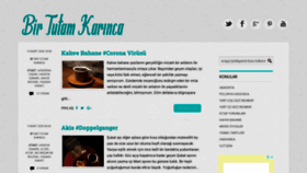 What Birtutamkarinca.com website looked like in 2020 (4 years ago)