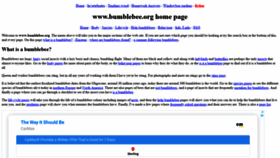 What Bumblebee.org website looked like in 2020 (4 years ago)