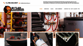 What Butlerplumbing.ca website looked like in 2020 (4 years ago)