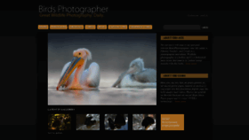 What Birdsphotographer.com website looked like in 2020 (4 years ago)