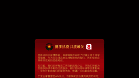 What Bgidc.cn website looked like in 2020 (4 years ago)