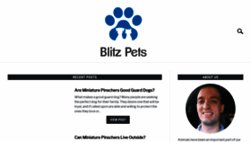 What Blitzpets.com website looked like in 2020 (5 years ago)