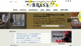 What Brisa.jp website looked like in 2020 (4 years ago)