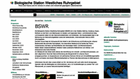 What Bswr.de website looked like in 2020 (4 years ago)