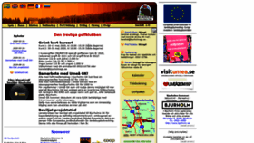 What Bjurholmsgk.se website looked like in 2020 (4 years ago)