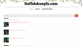 What Buffalokungfu.com website looked like in 2020 (4 years ago)