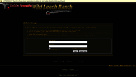 What Bzwlr.net website looked like in 2020 (4 years ago)
