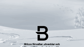 What Bricco.se website looked like in 2020 (4 years ago)