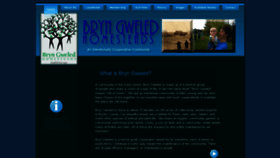 What Bryngweled.org website looked like in 2020 (4 years ago)