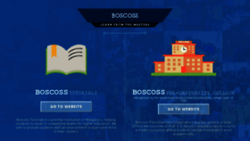 What Boscoss.com website looked like in 2020 (4 years ago)
