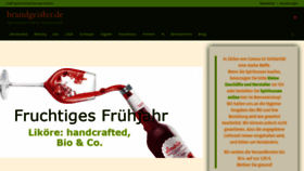 What Brandgeister.de website looked like in 2020 (4 years ago)