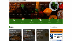 What Bv-foodtesting.jp website looked like in 2020 (4 years ago)