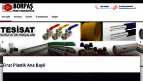 What Borpas.com.tr website looked like in 2020 (4 years ago)