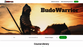 What Budowarrior.com website looked like in 2020 (4 years ago)