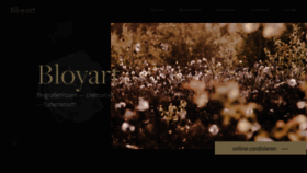 What Bloyart.be website looked like in 2020 (4 years ago)