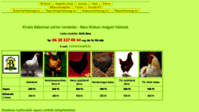 What Biogold.hu website looked like in 2020 (4 years ago)