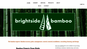 What Brightsidebamboo.com website looked like in 2020 (4 years ago)