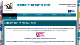 What Broomhillvet.co.uk website looked like in 2020 (4 years ago)