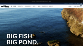 What Bluefinkayaks.com website looked like in 2020 (4 years ago)