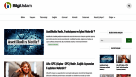 What Bilgiustam.com website looked like in 2020 (3 years ago)