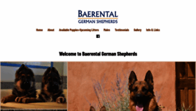 What Baerental.com website looked like in 2020 (3 years ago)