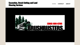 What Brushbusters.org website looked like in 2020 (3 years ago)