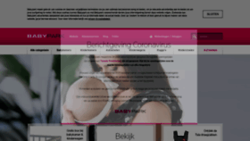 What Babypark.nl website looked like in 2020 (5 years ago)