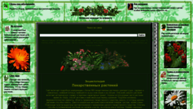 What Belena.biz website looked like in 2020 (3 years ago)