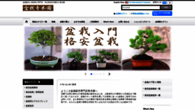 What Bonsai-aokien.com website looked like in 2020 (3 years ago)