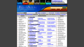 What Businessseek.biz website looked like in 2020 (3 years ago)